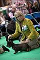 Crufts2011_2 1577